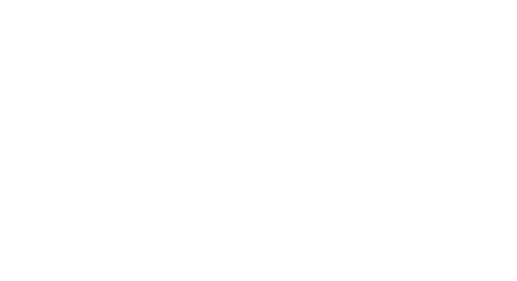Logo_Trans_Blanco_753x410